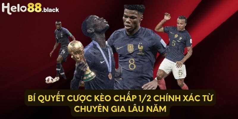 Bí quyết cược kèo chấp 1/2 chính xác từ chuyên gia lâu năm