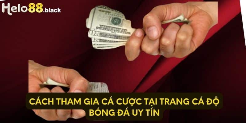 Cách tham gia cá cược tại trang cá độ bóng đá uy tín