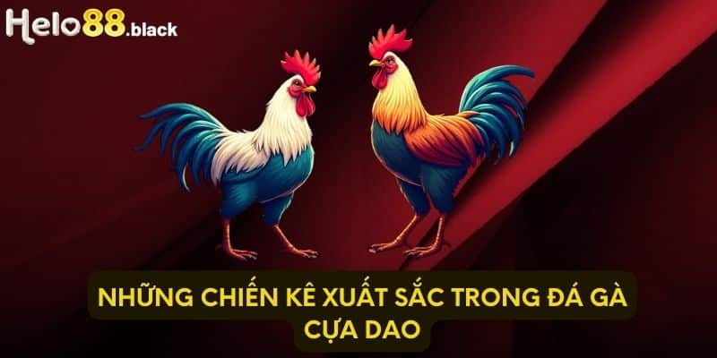 Những chiến kê xuất sắc trong đá gà cựa dao